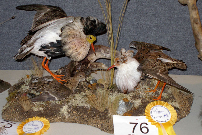 2009-combattenti